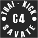 thaikickslogo.gif